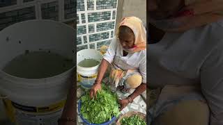 Bachho Ki Farmaish palaksaag villagefood villagekitchen sunilpalvlogs [upl. by Buerger]