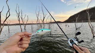 Pescando Lobinas en la Sierra de Sinaloa  Presa “El Salto” [upl. by Gore]