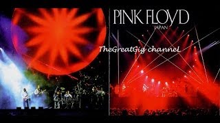 Pink Floyd  quot Live in Tokyo quot [upl. by Alah]