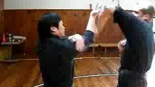 Wing Chun  Chi Sau Sparring 1 [upl. by Holcman]