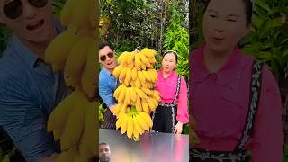 Banana ki kheti  naturallifeb naturalclips naturelife fruit nature shorts [upl. by Redienhcs]