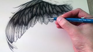 How to Draw a Wing [upl. by Ailaroc807]