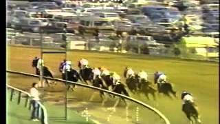 110th Preakness Stakes  May 18 1985 [upl. by Elauqsap696]