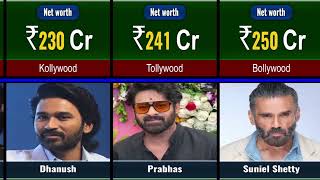 Indian Actor and their Net Worth  Net Worth [upl. by Meirrak]