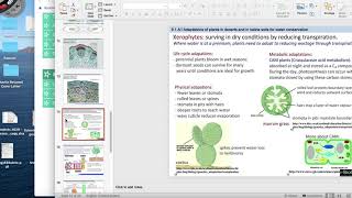 91 Water Conservation in Xerophytes and Halophytes [upl. by Abita147]