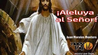 ALELUYA AL SEÑOR  Juan Morales Montero  NUEVOTRIGO [upl. by Lilas]