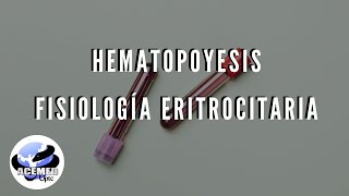 Hematopoyesis Fisiología Eritrocitaria [upl. by Balfore]