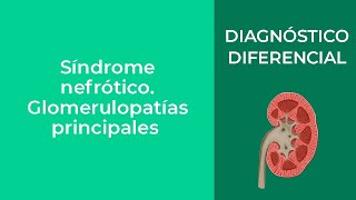 Diagnóstico Diferencial Síndrome nefrótico Glomerulopatías principales [upl. by Leitao]