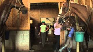 Cash Lovell Stables The Parents Point of View [upl. by Earas]