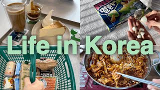 Koreashopping in KoreacostcoKorea martKorea foodKorea cafe [upl. by Georgeta949]