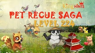 Pet Rescue Saga Level 224 Walkthrough  2015 [upl. by Avner]