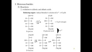 Phosphorylation and Reduction reactions of Monosaccharides [upl. by Ahseyd]