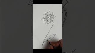 drawing world reuse beautiful pencildrawing flowre youtubeshorts shortsvideotrndingshorts [upl. by Janie848]