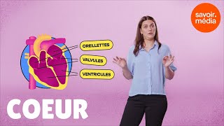 Le cœur  La clinique des mots [upl. by Ronoh]