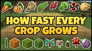 How Fast Every Crop Grows In MINECRAFT [upl. by Teri]