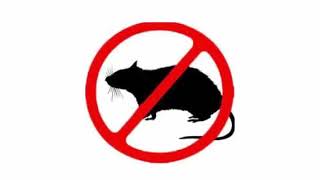 Mouse amp Rat Ultrasonic Deterrent  Cat sounds to scare mice away Rat distress call  Sound Mice Hate [upl. by Ynafetse867]