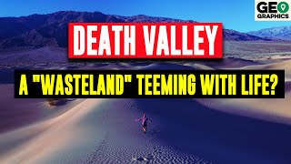 Death Valley Timbisha and the Wandering Desert [upl. by Segroeg]