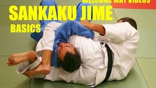 Basics of Sankaku JIme Triangle Choke [upl. by Anaugal427]