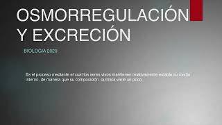 Osmorregulacion y excreción octavo [upl. by Lamb]