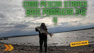 como pescar striper bass en new jersey primavera 2424 [upl. by Zel]