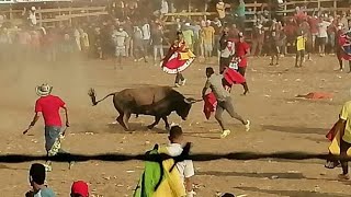 Corralejas en Valencia tradiciones de los pueblos [upl. by Ybrek]