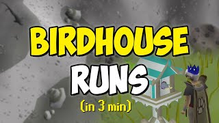 Birdhouse Runs in 3 minutes Quick Guide [upl. by Nuy]