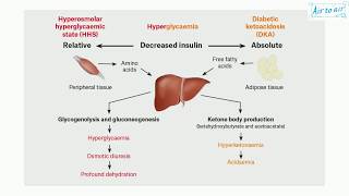 hyperosmolar hyperglycemic syndrome English  Medical terminology for medical students [upl. by Alohs]