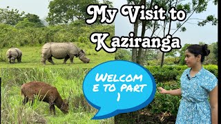 Guwahati to Kaziranga Lunch on the way Jeep safari Resort check in [upl. by Irakuy]