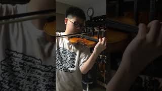 Josef LT 800 advance 14 violin sound sample [upl. by Jarib]