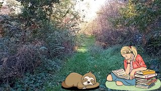 Suoni del Bosco Relax e Tranquillità per Studiare o Dormire 40 Minuti [upl. by Eihtur306]