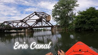 Kayak Fishing Erie Canal Full day on the water [upl. by Stephenie]