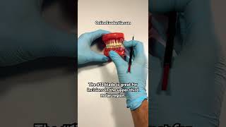 Maxillary Third Molar Incisions  OnlineExodontiacom  oralsurgery dental dentalstudent [upl. by Neiman733]