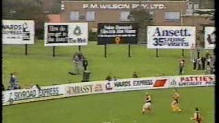 VFA 1991 Preliminary Final at North Port Oval Dandenong Vs Box Hill [upl. by Engracia]