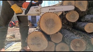 Stihl MS391 put to work on Firewood at the off grid cabin [upl. by Mortie]