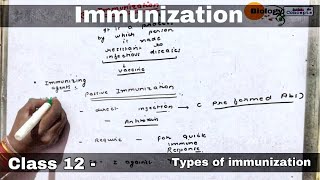 Immunization in hindi ll biology ll [upl. by Doreen967]