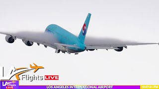 🔴LIVE LAX Airport  LAX LIVE  LAX Plane Spotting [upl. by Nhepets752]