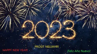 Silvester Feuerwerk Wien 20222023  New Years Eve Vienna  ¡Feliz Año Nuevo [upl. by Aronle]