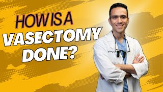 How is A Vasectomy Done [upl. by Morrie]