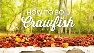 How to Boil Crawfish  Louisiana Recipe  BBQGuyscom [upl. by Marucci]