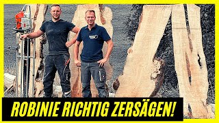 So zersägen wir eine Robinie 💪  KreativWood [upl. by Vokay326]