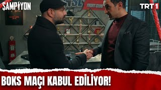 Boks maçı kabul ediliyor  SampiyonTRT 19 Bölüm [upl. by Joline]