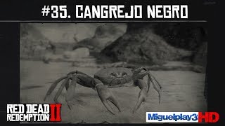 Localización Cangrejo Negro  35 Compendio Animales  Red dead redemption 2 [upl. by Mccourt]