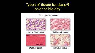 Types of tissue for class  9 science biology epithelial tissue connective tissue muscles tissue [upl. by Nancee569]