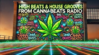 sunocom  No Escape  Cannabis Beats Hard House Big Beats 420 Music Stoner Beats [upl. by Krall]