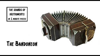 The Bandoneon The Sounds of Instruments in 1 min pieces [upl. by Trumann]