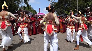 A Woman Meeting in Viharamahadevi Park Colombo Sri Lanka [upl. by Nicko75]