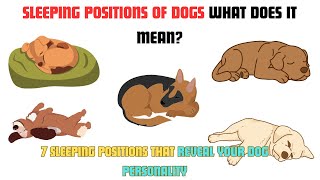 7 Sleeping Positions Of Dogs That Reveal Their Personality [upl. by Liatrice]