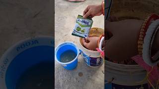 Organic liquid fertilizer kitchen waste homemade gardening viralshorts trending ytshort [upl. by Aseefan]