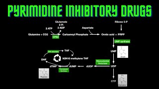 USMLE Step 1  Lesson 5  Pyrimidine Inhibitory Drugs [upl. by Eednil]