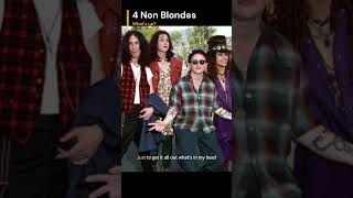 4 Non Blondes  Whats Up [upl. by Eladal]